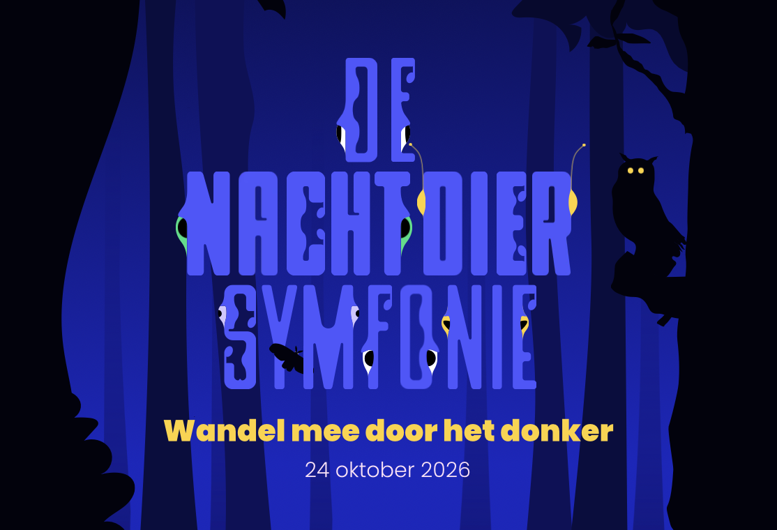 Nachtdier symfonie