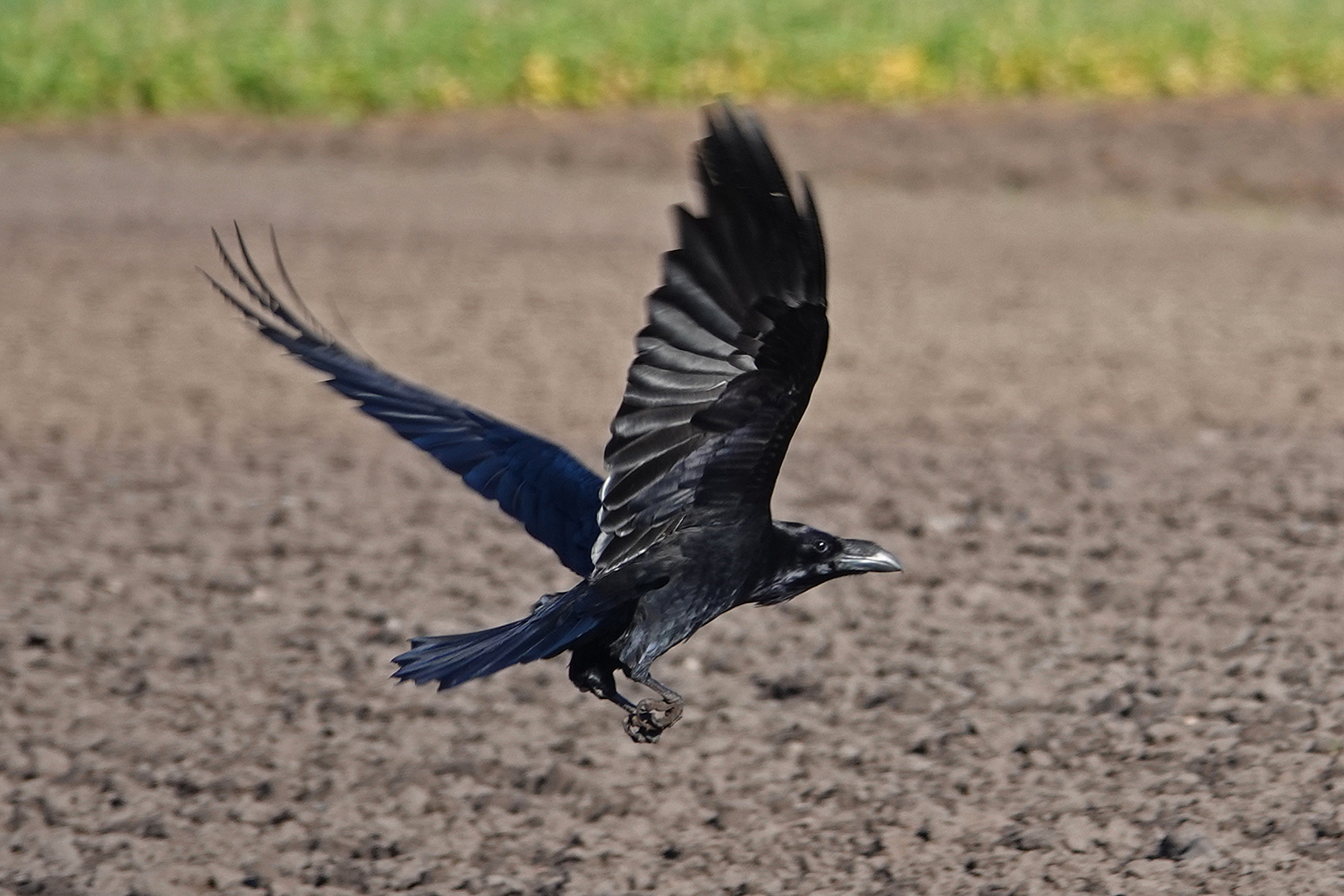 Contactpersoon afbeelding